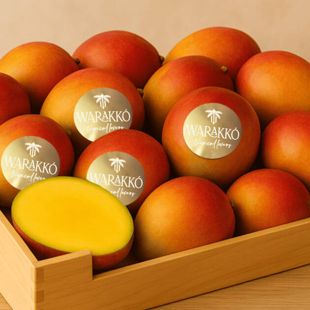 Mango Verde | 2 Kg y 4 KG