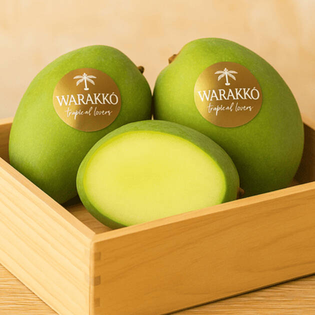 Mango Premadurado | 2 Kg y 4 KG